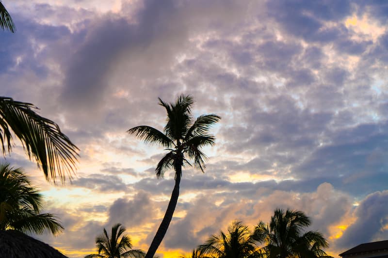 Tattoo aftercare in Panama's tropical climate